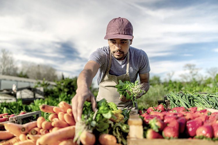 veggies02.jpg
