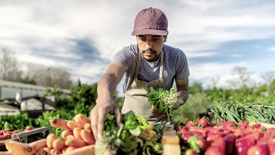 veggies02.jpg